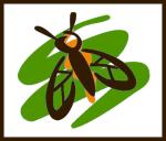 brown_fly_with_border