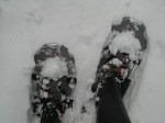 Snowshoes
