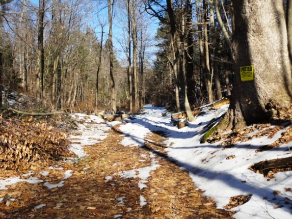 Cold Spring, NY ~ January 2013